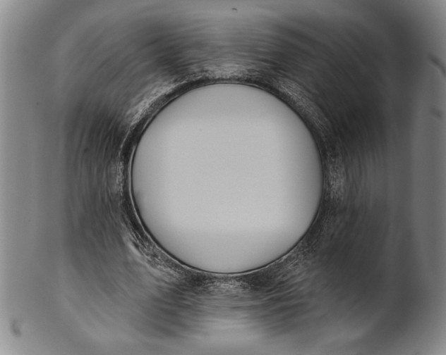 X0000101470583200807211338