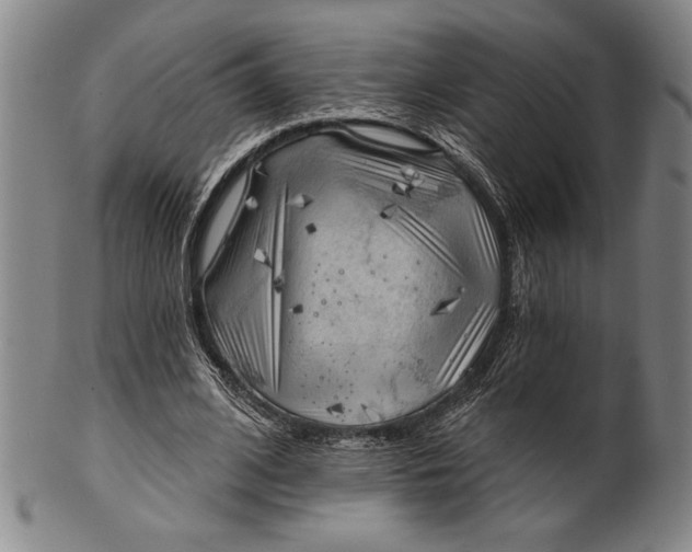 X0000101470584200807211338