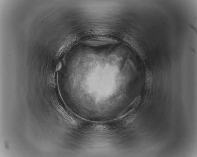 X0000101470585200807211338