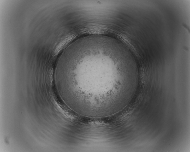 X0000101470586200807211338