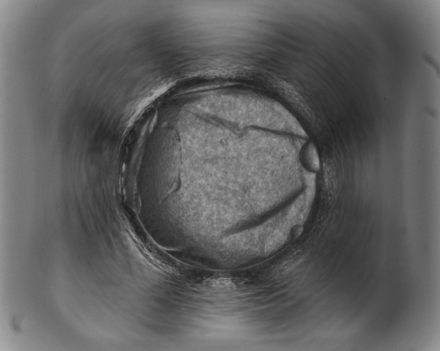 X0000101470588200807211338