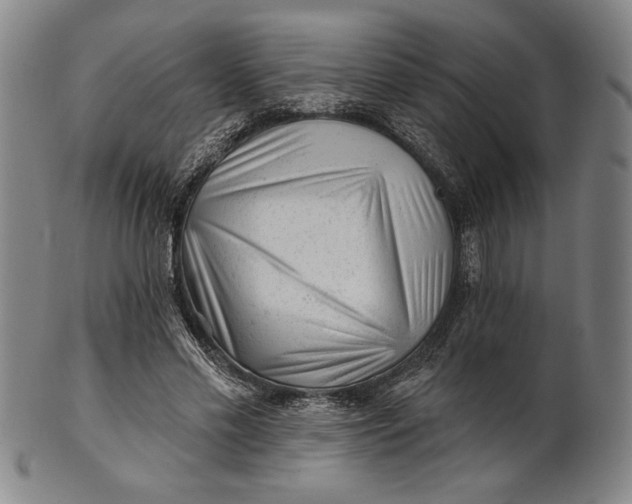 X0000101470589200807211338