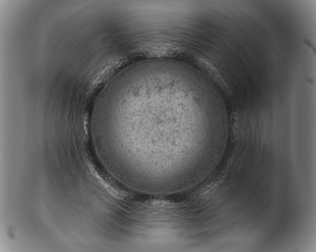 X0000101470590200807211338