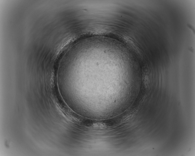 X0000101470591200807211338