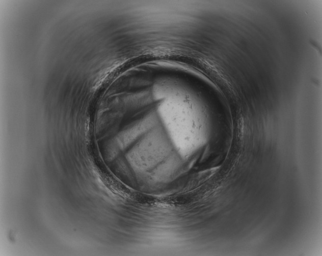 X0000101470592200807211338