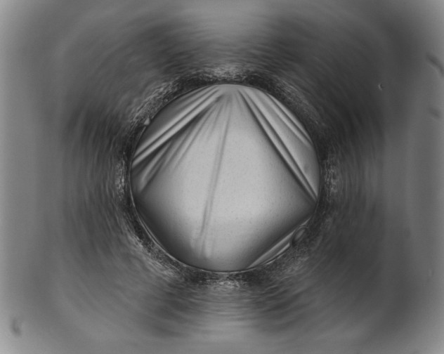 X0000101470593200807211338