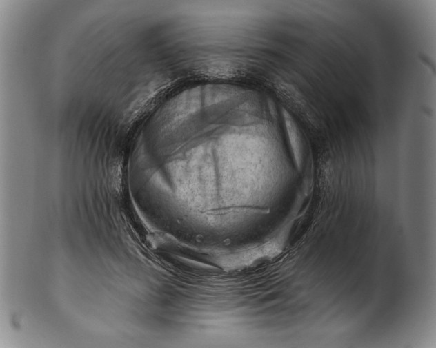 X0000101470596200807211338