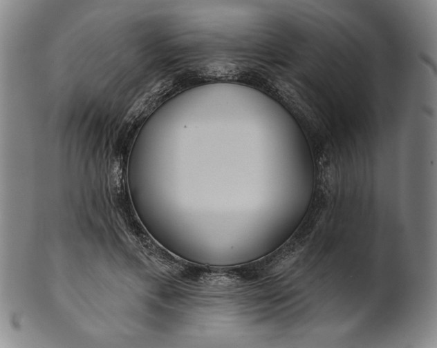 X0000101470597200807211338