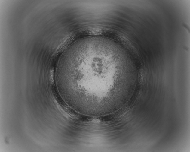 X0000101470598200807211338