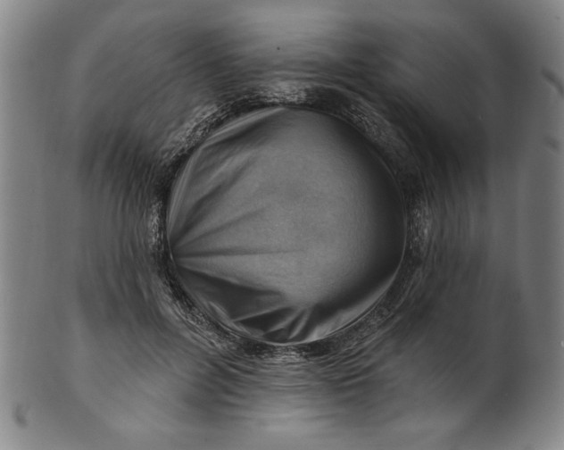 X0000101470600200807211338