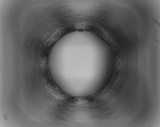 X0000101470601200807211338