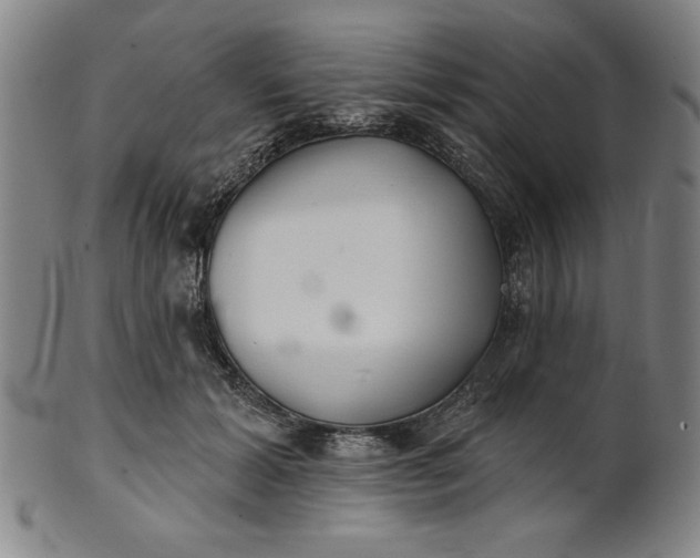 X0000101470605200807211338