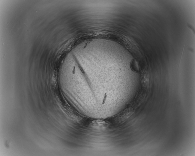 X0000101470607200807211338