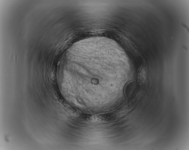 X0000101470608200807211338