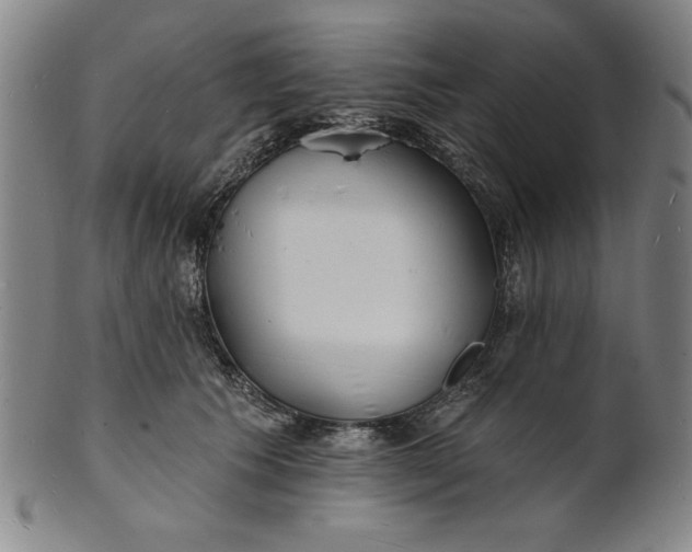 X0000101470609200807211338