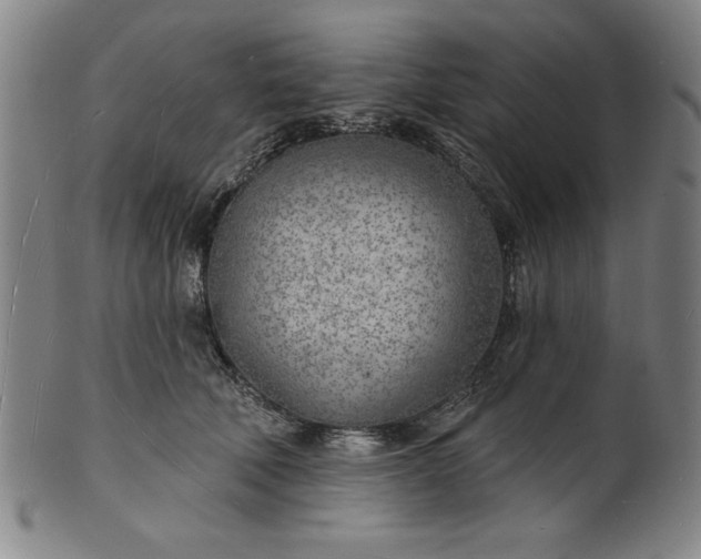 X0000101470610200807211338