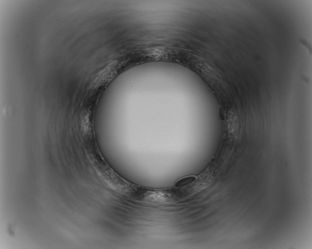 X0000101470611200807211338