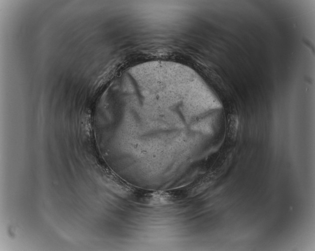 X0000101470612200807211338