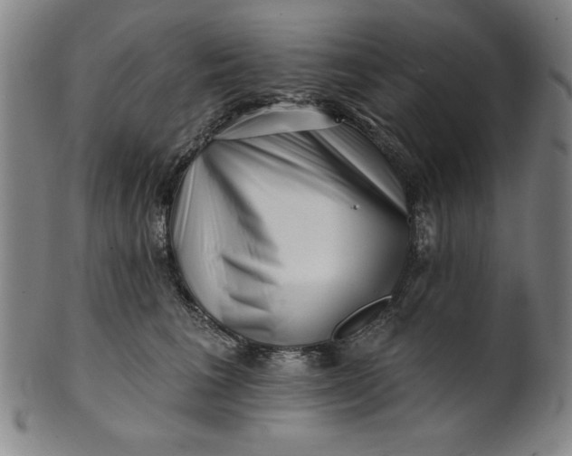 X0000101470613200807211338