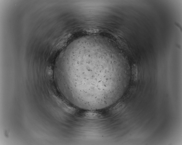 X0000101470614200807211338