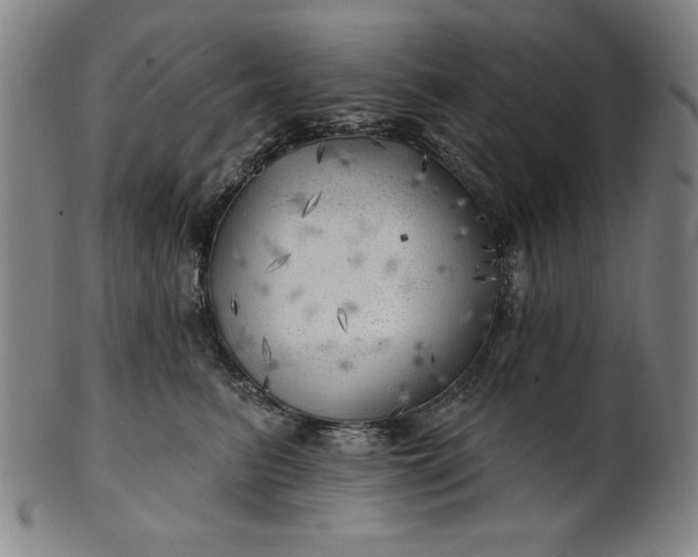 X0000101470615200807211338