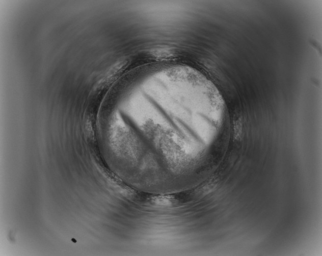 X0000101470618200807211338