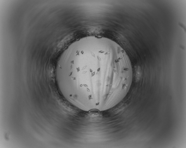 X0000101470619200807211338