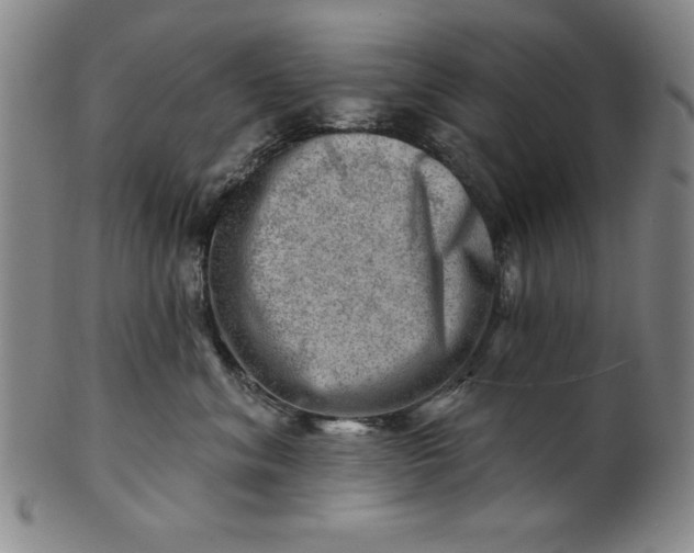 X0000101470620200807211338