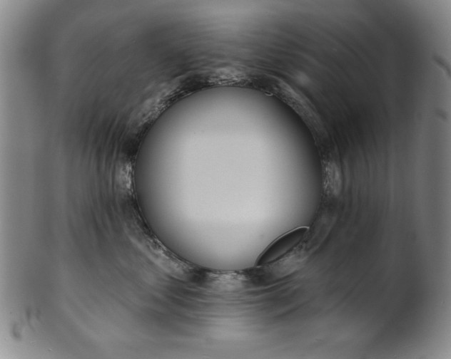 X0000101470621200807211338