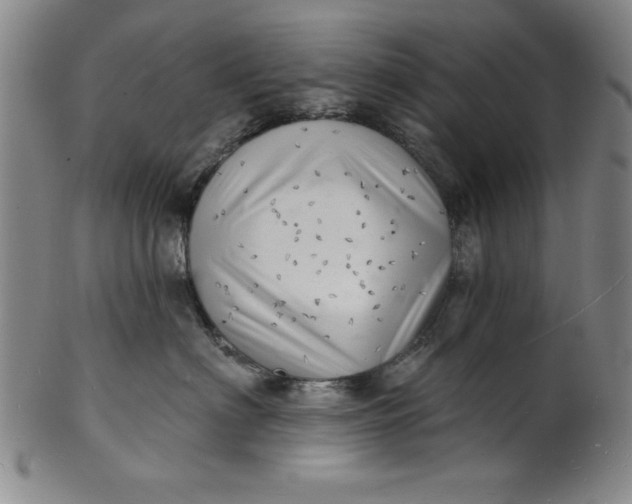 X0000101470622200807211338