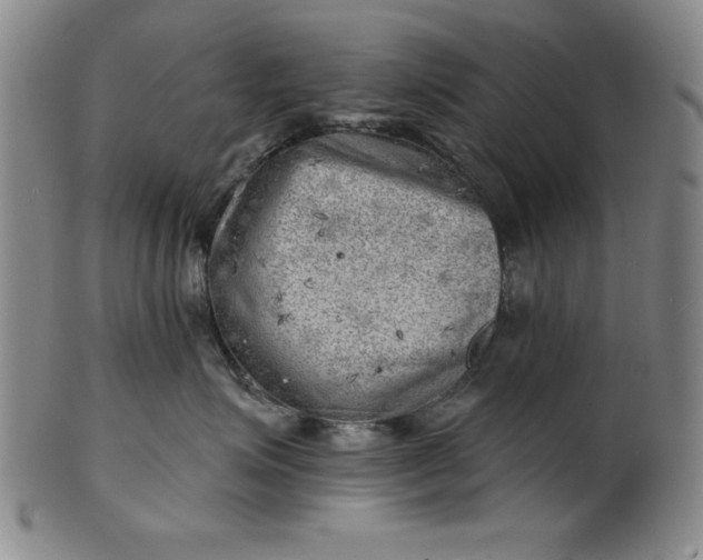 X0000101470623200807211338