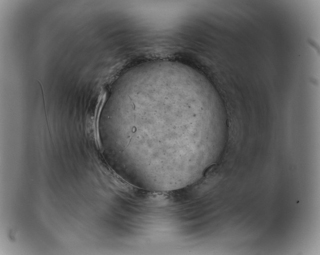 X0000101470624200807211338