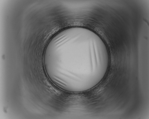 X0000101470625200807211337