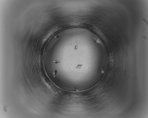 X0000101470626200807211337