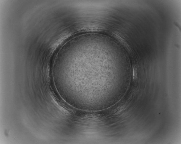 X0000101470627200807211337