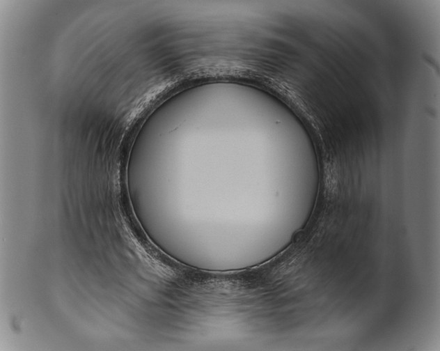 X0000101470629200807211337