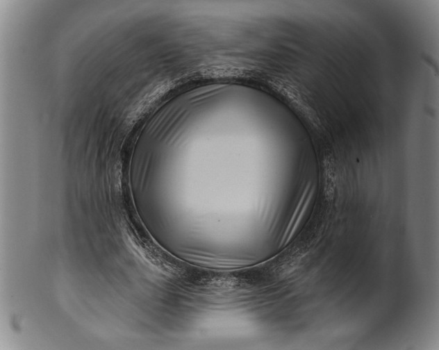 X0000101470631200807211337