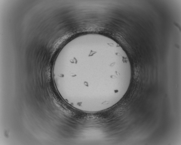 X0000101470632200807211337