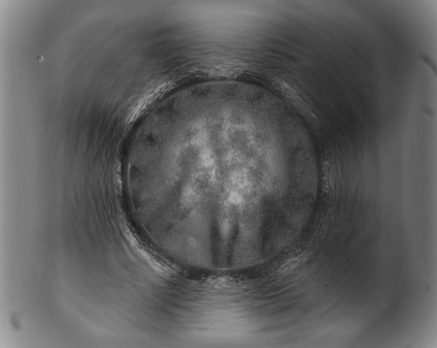 X0000101470634200807211337