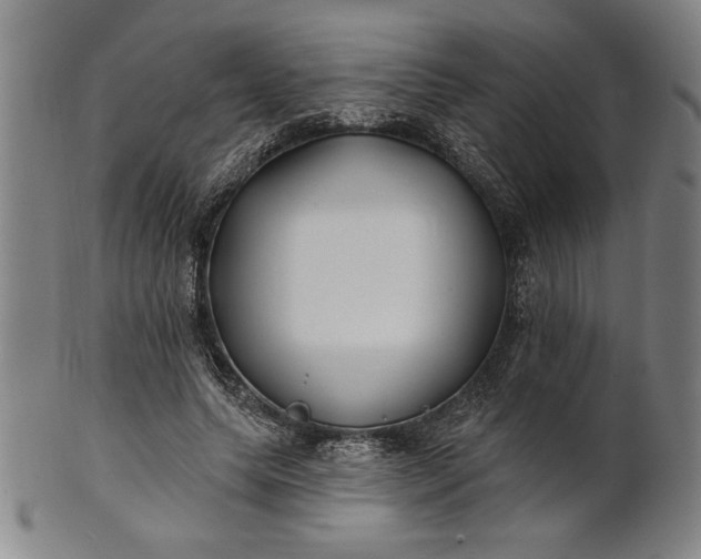 X0000101470639200807211337