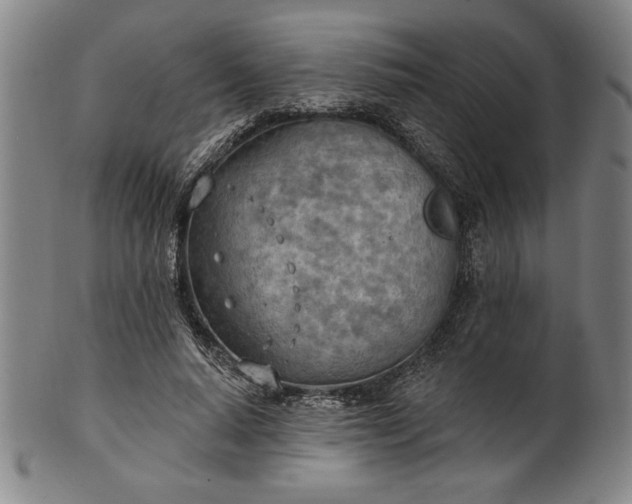 X0000101470640200807211337