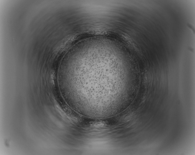 X0000101470643200807211337