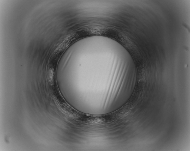 X0000101470646200807211337