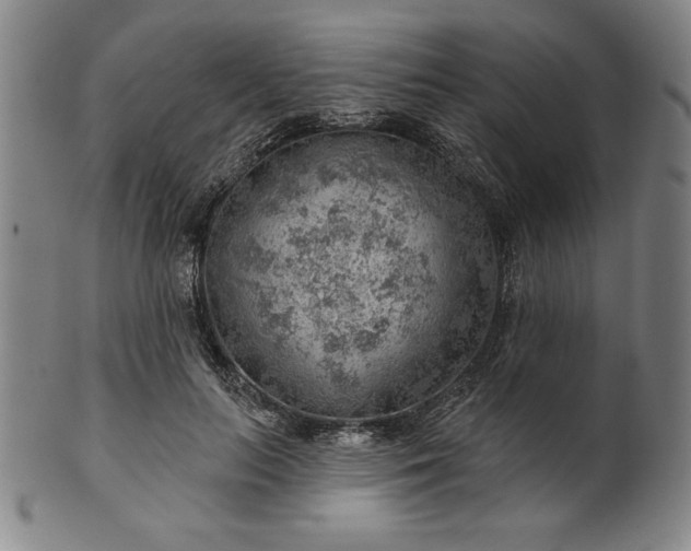 X0000101470647200807211337