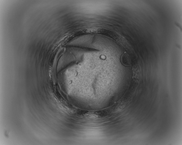 X0000101470648200807211337