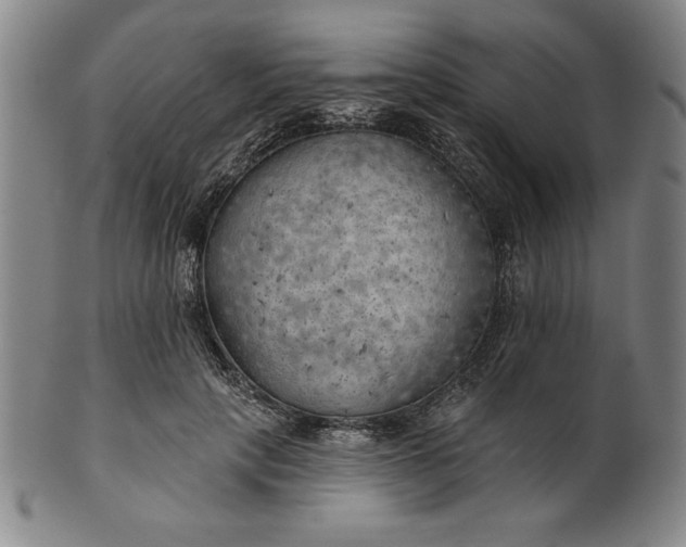 X0000101470649200807211337