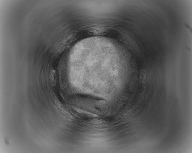 X0000101470650200807211337