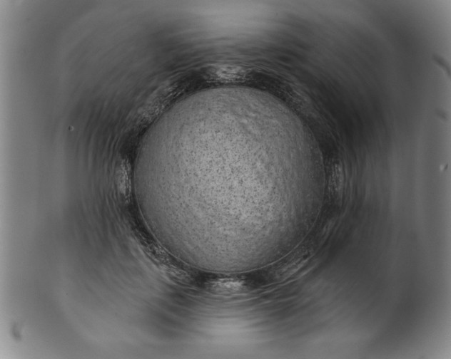 X0000101470651200807211337