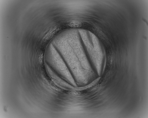 X0000101470652200807211337