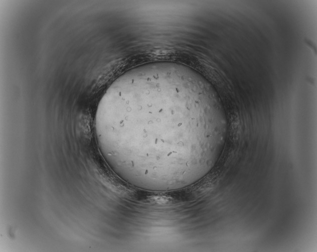 X0000101470654200807211337